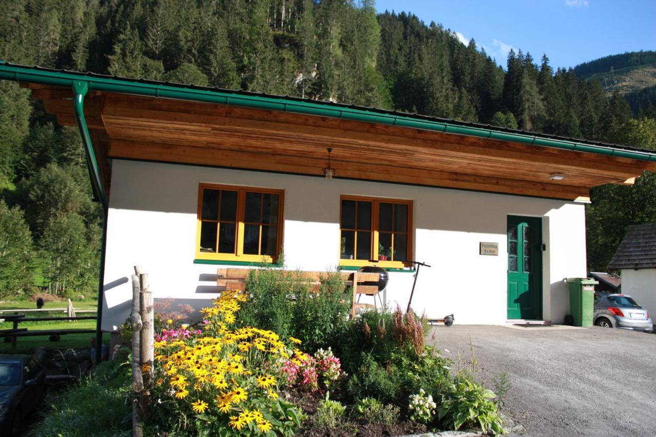 Chalet Ferienhaus Radmer Radmer an der Hasel エクステリア 写真