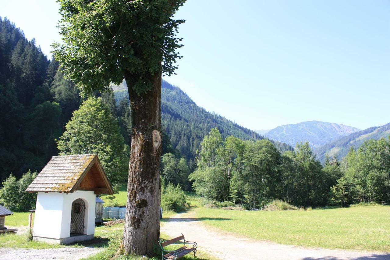 Chalet Ferienhaus Radmer Radmer an der Hasel エクステリア 写真